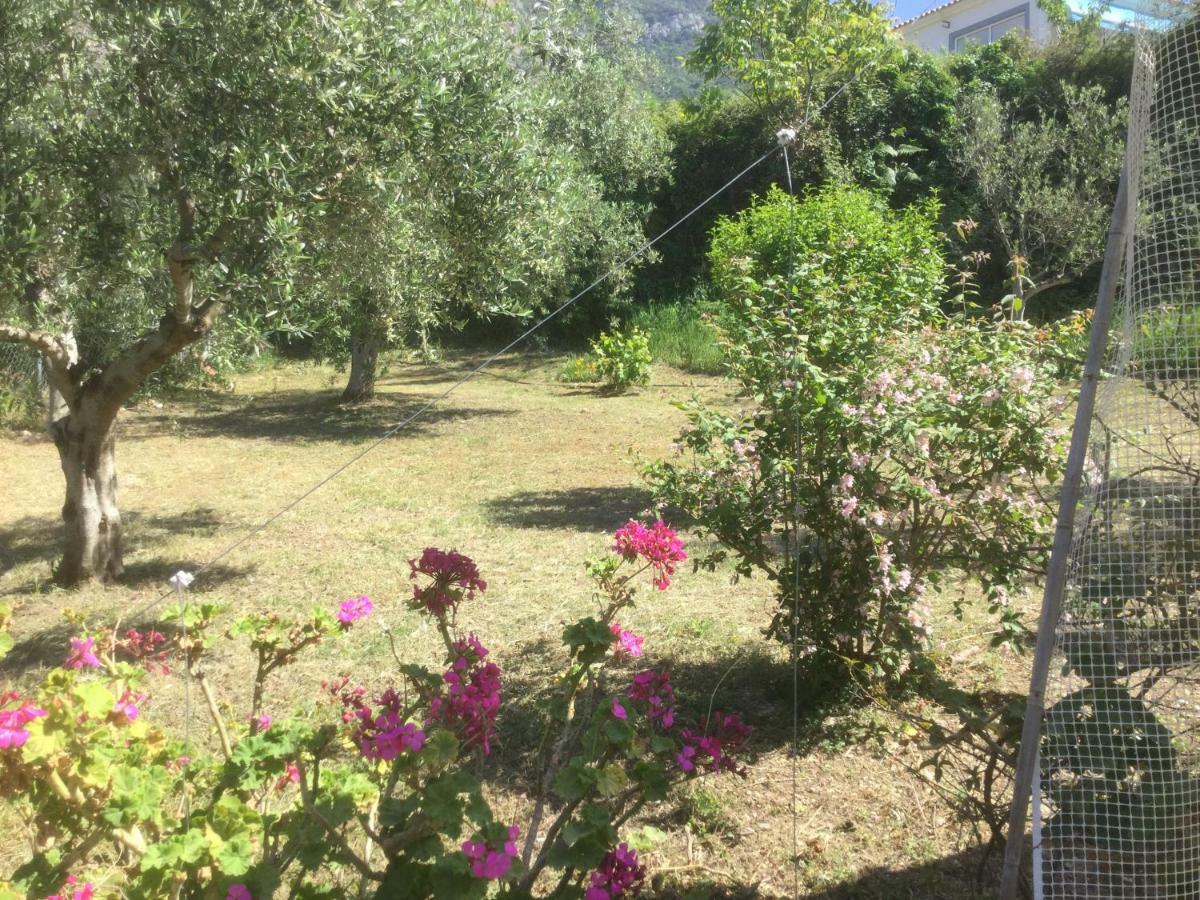 The Cabin, Kyparissia Exterior foto