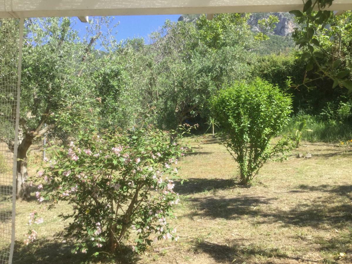 The Cabin, Kyparissia Exterior foto